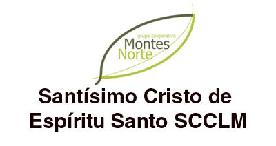 Santísimo Cristo del Espíritu Santo SCCLM