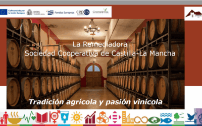 Poniendo en valor el impacto de las cooperativas agroalimentarias